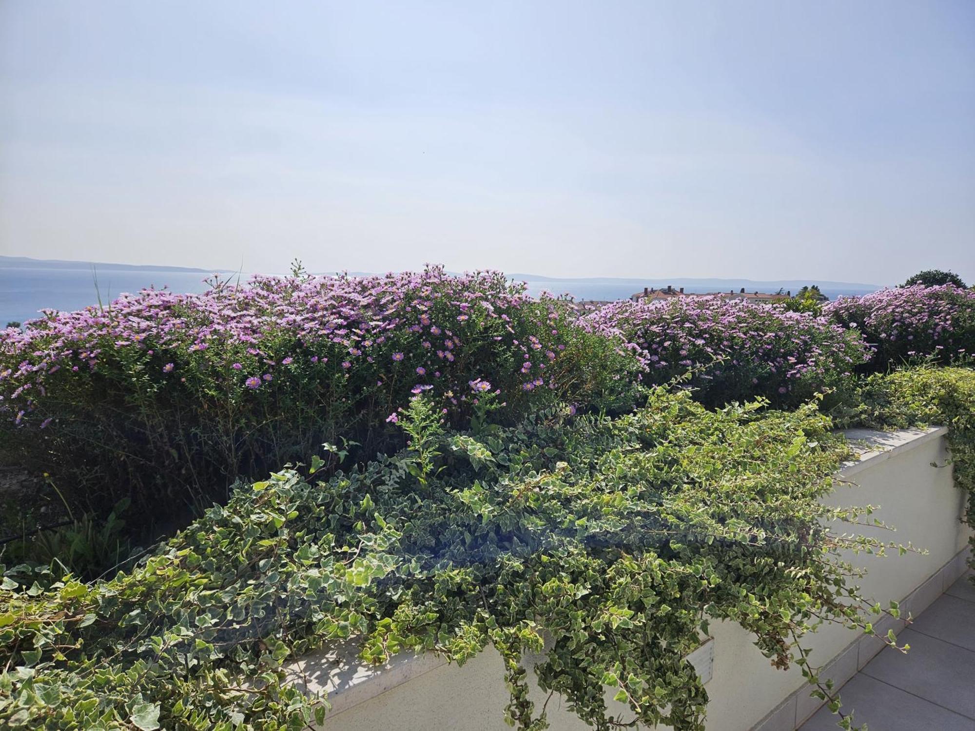 Tajla Rooms Split Luaran gambar